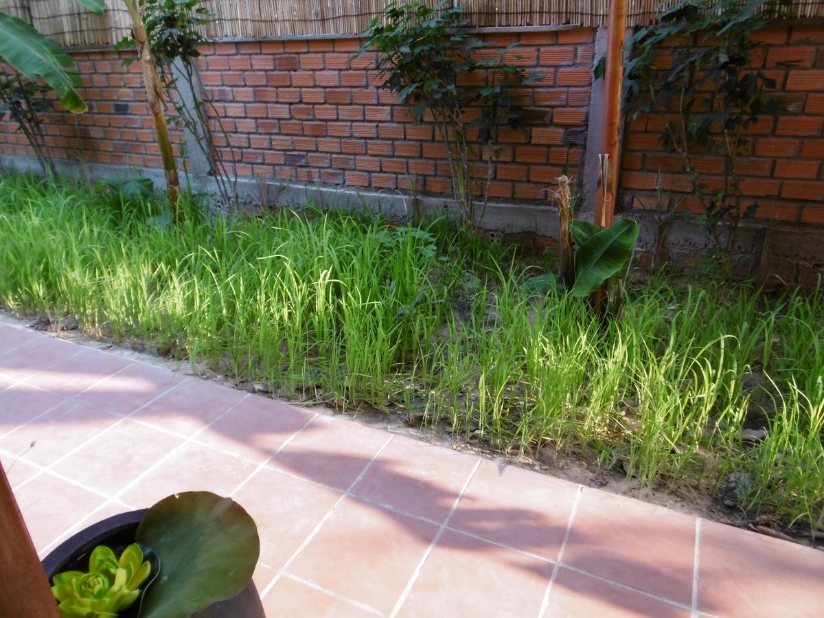 Andre Boutique Villa سيام ريب المظهر الخارجي الصورة