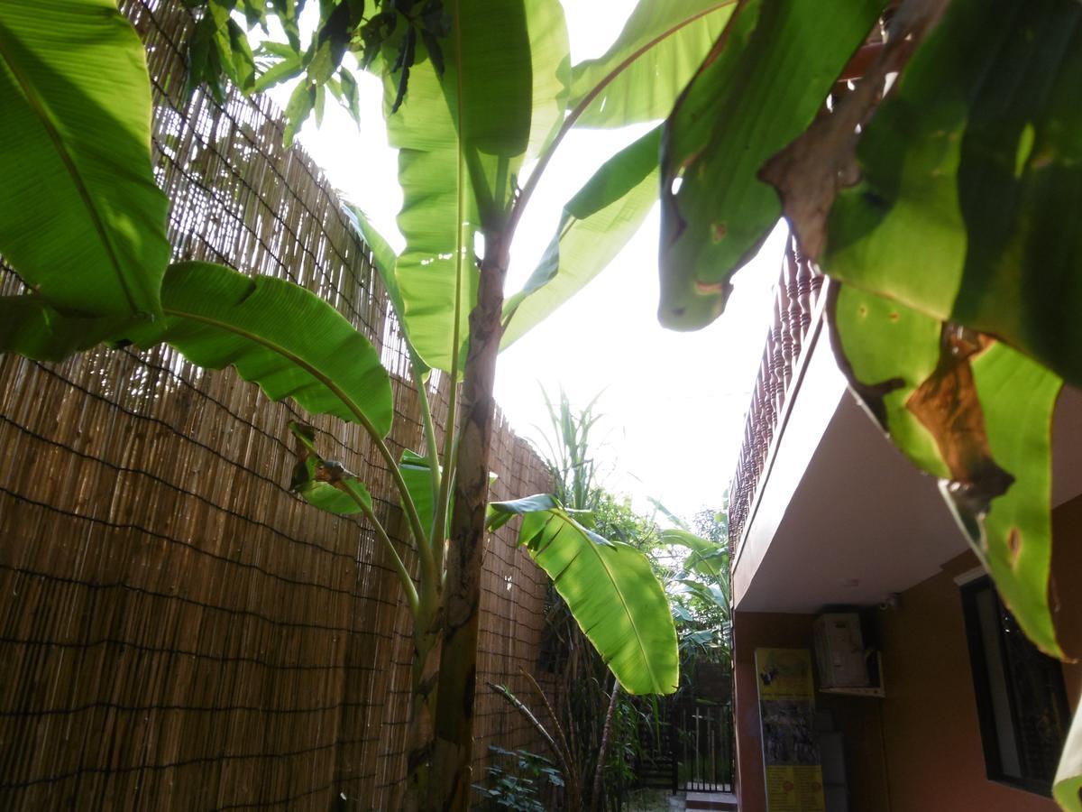 Andre Boutique Villa سيام ريب المظهر الخارجي الصورة
