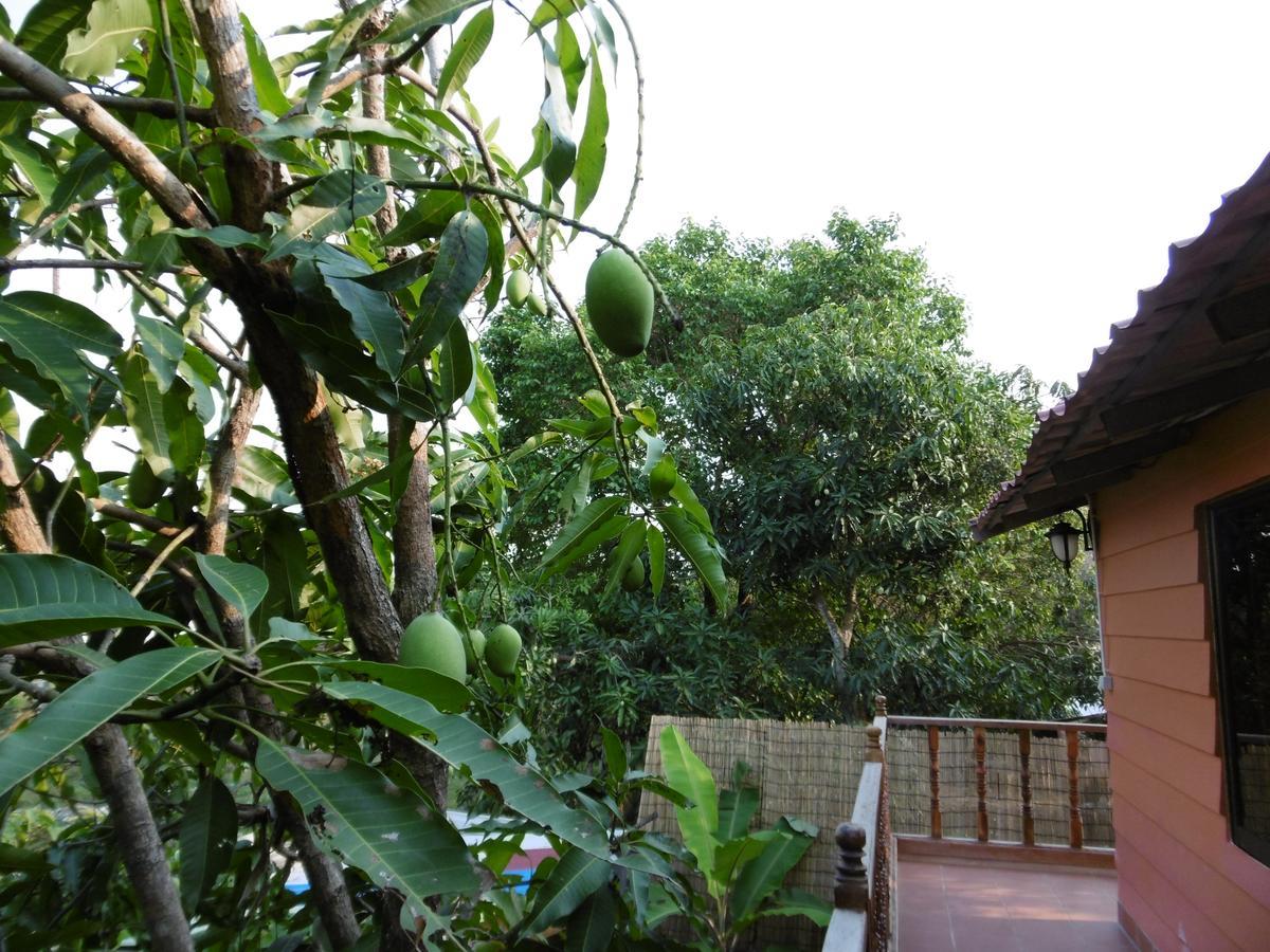 Andre Boutique Villa سيام ريب المظهر الخارجي الصورة